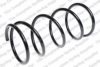 ROC CS7133 Coil Spring